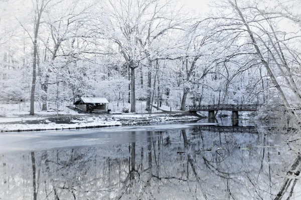 雪に覆われた冬の木の反射 — ストック写真