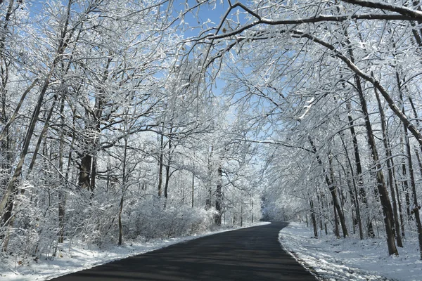 Mroźną zimę drogą sceny — Zdjęcie stockowe
