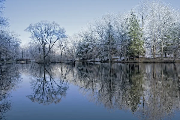 Besneeuwde Winter Tree reflecties — Stockfoto