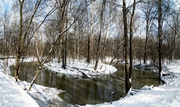 Зимний изгиб реки — стоковое фото