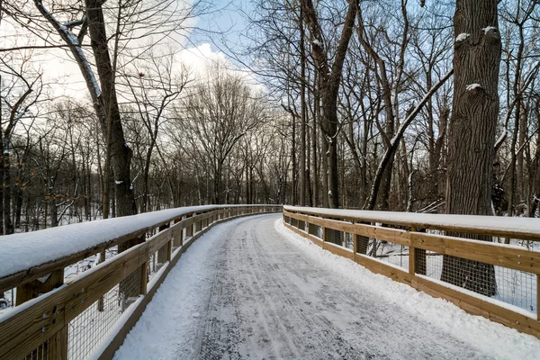 Snowy Boardwalk Trail — Stockfoto