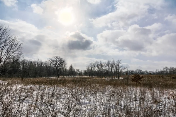 雪に覆われた草原風景 — ストック写真