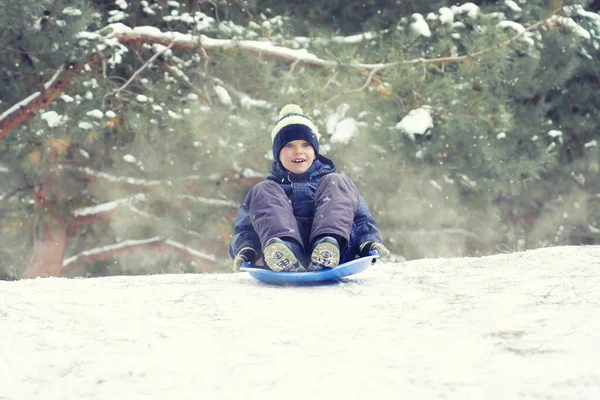 Ένα Αγόρι Κάνει Έλκηθρο Ένα Χιονισμένο Δάσος Υπαίθρια Διασκέδαση Χειμώνα — Φωτογραφία Αρχείου