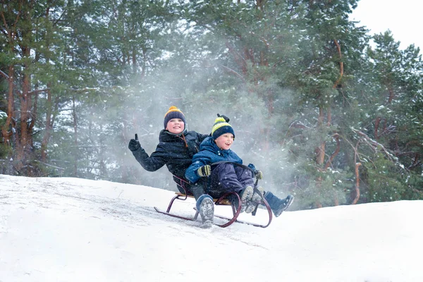 Rapazes Andar Trenó Numa Floresta Nevada Diversão Inverno Livre Para Fotos De Bancos De Imagens