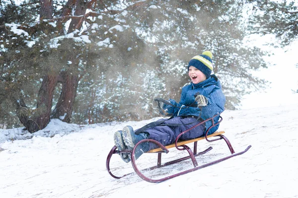 Ένα Αγόρι Κάνει Έλκηθρο Ένα Χιονισμένο Δάσος Υπαίθρια Διασκέδαση Χειμώνα Εικόνα Αρχείου