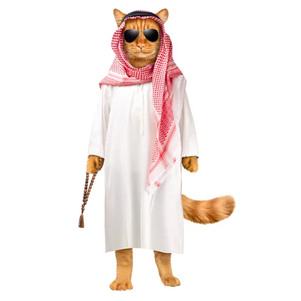 Ingefära Katt Arabisk Shejk Isolerad Vitt — Stockfoto