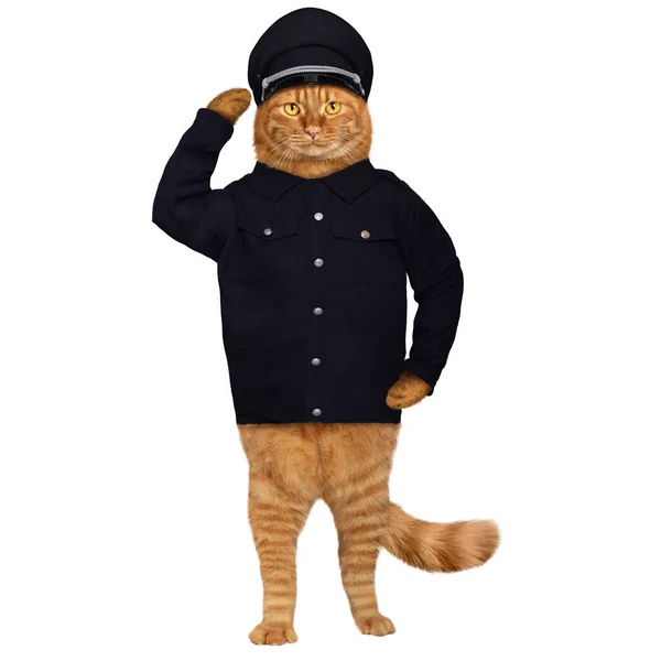 Ginger Cat Policeman Isolated Λευκό — Φωτογραφία Αρχείου