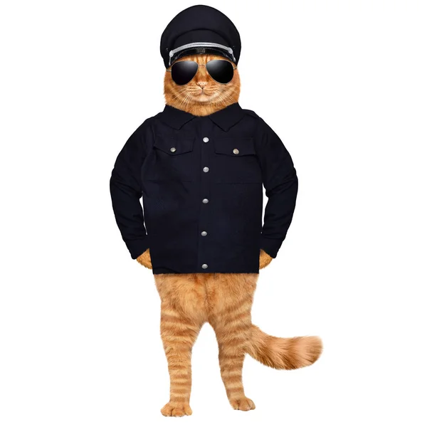 Ginger Cat Policeman Isolated Λευκό — Φωτογραφία Αρχείου