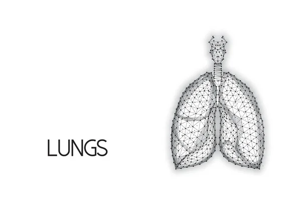 Pulmones anatómicos humanos hechos de líneas y puntos aislados sobre fondo blanco. — Vector de stock