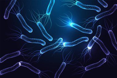 Helicobacter teknolojisi, mikrobiyoloji ve parlayan düşük-polyester pilorili tıbbi araştırma konsepti. Gelecekçi neon çokgen vektör çizimi. Teşhis, biyoteknoloji, enfeksiyon araştırması.