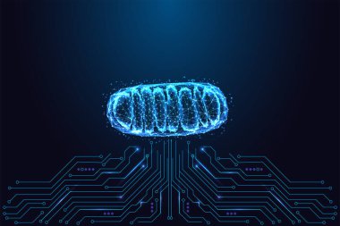 Biyoteknoloji ve yapay zeka geliştirilmiş biyoloji konsepti devre kartının üzerinde parlayan dijital bir mitokondri gösteriyor. Vektör illüstrasyonunda gelecekçi ağ, mavi parçacıklar ve enerji teknolojisi.