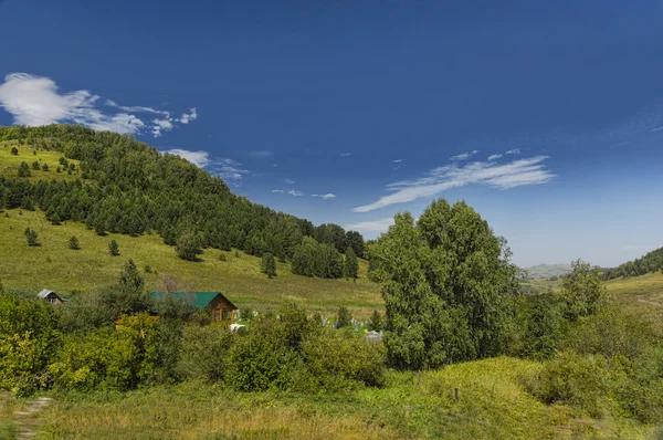 apiario en montañas