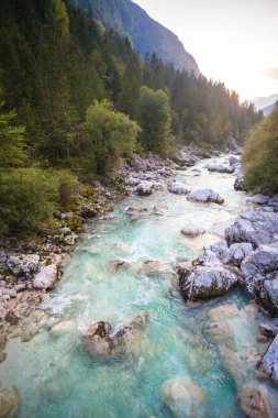 Soca Nehri 'nde yaz sonu ve sonbahar havasında kristal berrak turkuaz mavi suyla. Kranjska Gora, Slovenya, Julian Alps, Soca, Vrsiç Geçidi