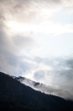 Avusturya Alpleri 'nin dağ sıralarında yaz ve sonbahar havası harika..
