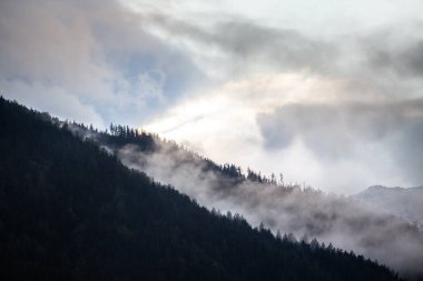 Avusturya Alpleri 'nin dağ sıralarında yaz ve sonbahar havası harika..