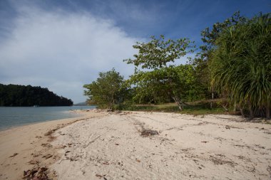 Pulau Jemurok 'ta plaj günü Malezya' da Langkawi yakınlarında.