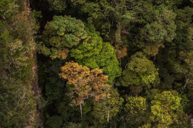 Orman. Langkawi teleferik istasyonundaki harika turist bakış açısı. Okyanus ve dağlar