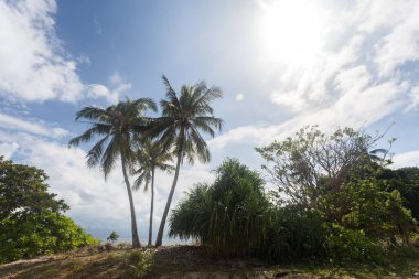 Plaj manzaralı Borneo - Malezya