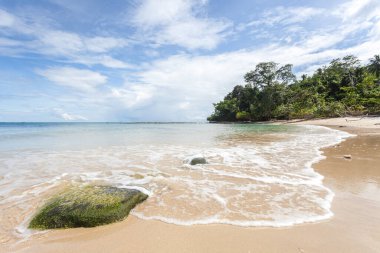Plaj manzaralı Borneo - Malezya