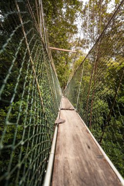 Malezya ormanlarında paraşüt yolu, Taman Negara Milli Parkı