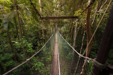 Malezya ormanlarında paraşüt yolu, Taman Negara Milli Parkı