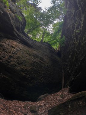 Büyük kayalar, patika gezgini orman, kayalar, adımlar ve Sakson İsviçre dağları arasında.