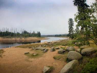 Harz 'daki Torfhaus yakınlarında, Aşağı Saksonya' daki Oder Gölü 'nde yürüyüş parkurunda.