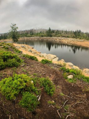 Harz 'daki Torfhaus yakınlarında, Aşağı Saksonya' daki Oder Gölü 'nde yürüyüş parkurunda.