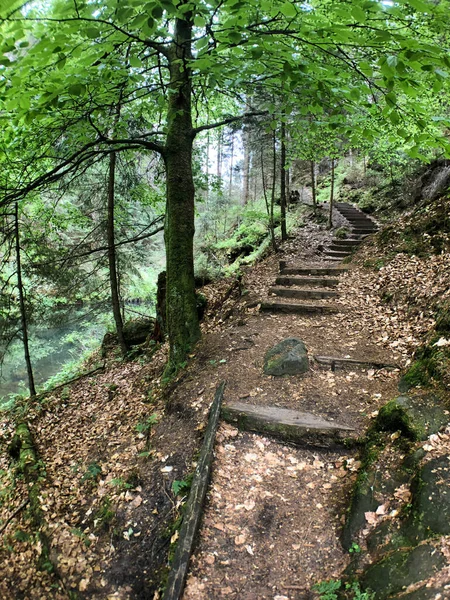 Randonneur Sur Sentier Entre Forêt Rochers Marches Montagnes Suisse Saxonne — Photo