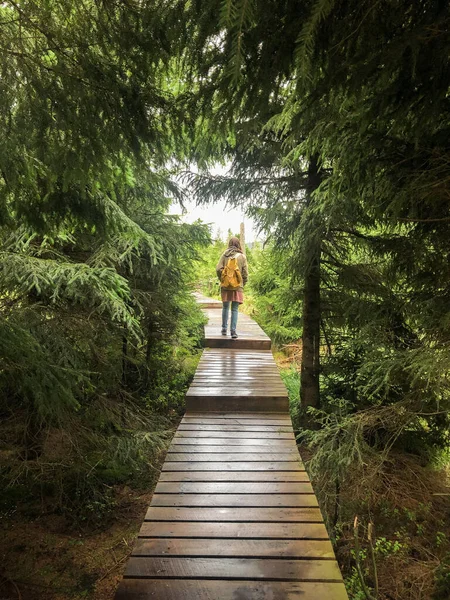 Harz 'daki Torfhaus yakınlarında, Aşağı Saksonya' daki Oder Gölü 'nde yürüyüş yapan bir gezgin.