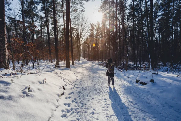 Kışın ormanda kar ve buzla yürüyen yürüyüşçü, harika bir gün ışığı ve güneşle.
