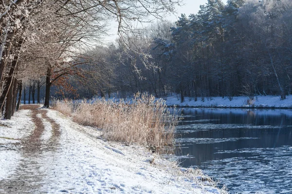 Spree Oder Canale Inverno Vicino Berlino Con Neve Ghiaccio — Foto Stock