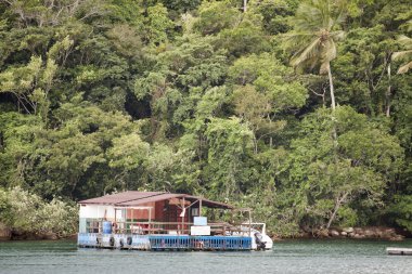 Yeşil Ilha Grande