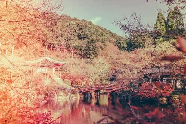 Daigo-ji tempel in de herfst — Stockfoto