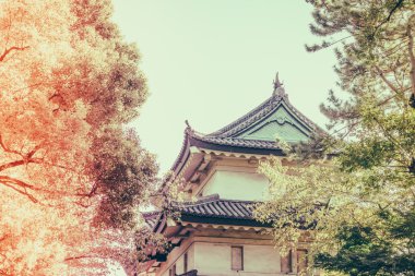 Tokyo'daki İmparatorluk Sarayı
