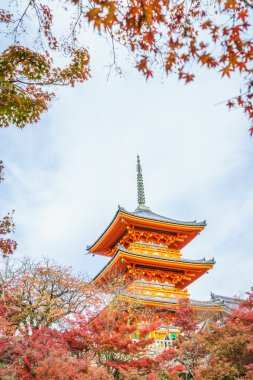 Japonya 'da güzel bir mimari