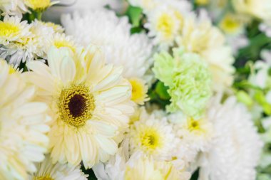 güzel renkli çiçekler