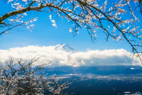 Hegyi Fuji jéggel — Stock Fotó