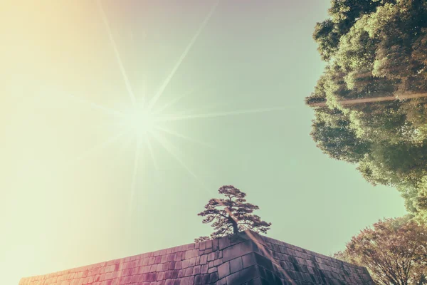 Foundation of a Castle tower — Stock Photo, Image