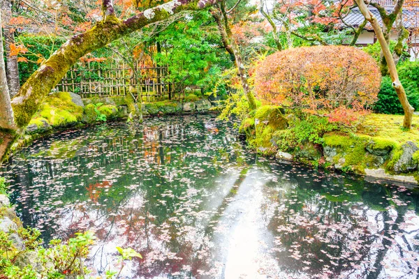 Forêt d'automne avec rivière — Photo