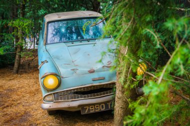 Osaka, Japonya - 1 Aralık 2015: Universal Studios Japonya (Usj). 