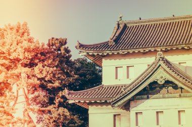 Tokyo'daki İmparatorluk Sarayı