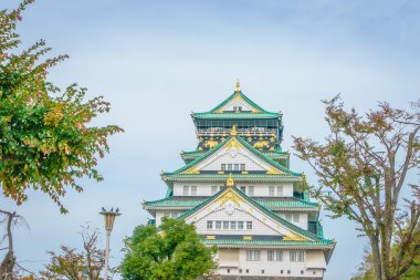 Kale Osaka City