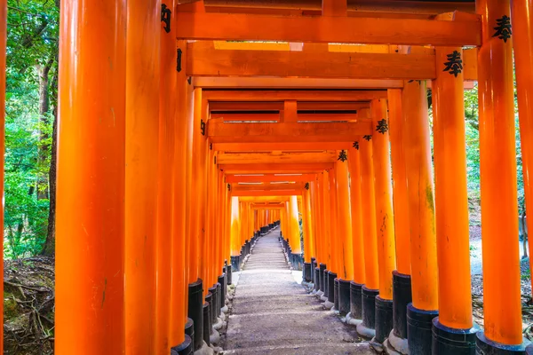 Porta Tori Vermelha no Templo do Santuário Inari Fushimi em Kyoto, Japão — Fotografia de Stock