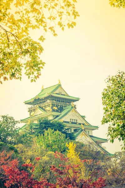 Castillo en Osaka ciudad — Foto de Stock