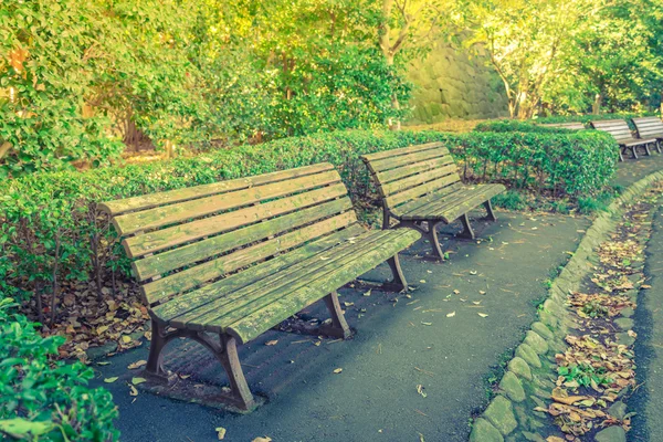 Wooden benches in park — Stock Photo, Image