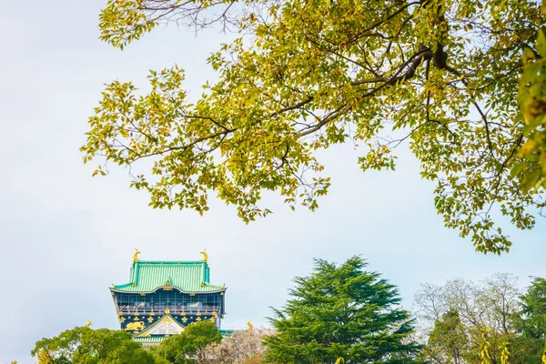 Castello nella città di Osaka — Foto Stock