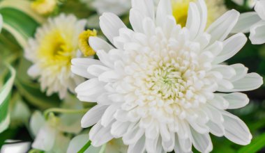 güzel düğün çiçekleri