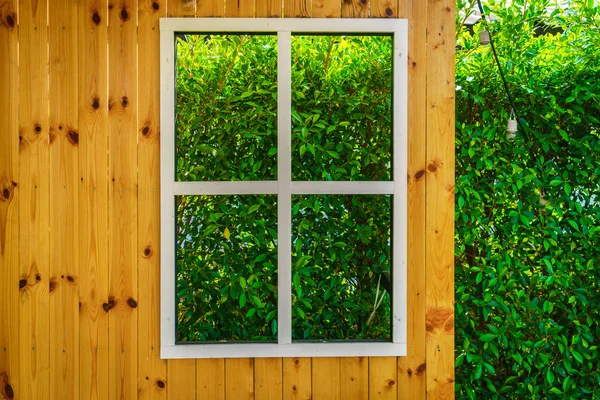 House window frame with view to nature scene — Stock Photo, Image