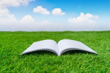 Katalog, dergi boş, sahte yeşil çimenlerin üzerinde kitap